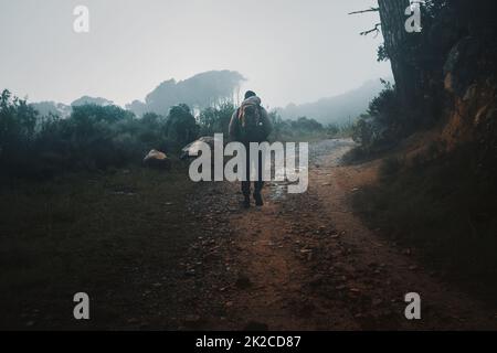 Beati i curiosi, perché hanno sempre avventure. Foto di un giovane uomo che percorre le montagne. Foto Stock