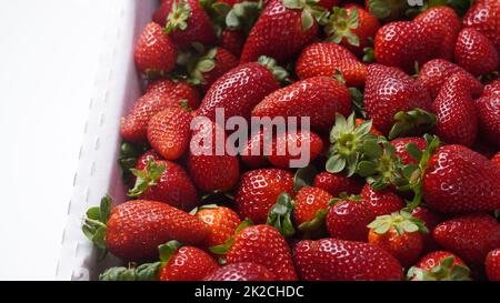 Fragole fresche in una scatola bianca. Cibo sano Foto Stock