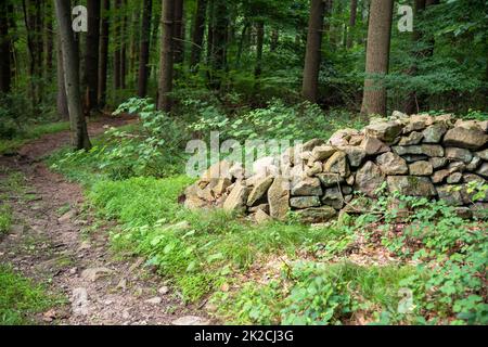 Muro di pietra crumbled nei boschi lungo un lussureggiante sentiero verde Foto Stock