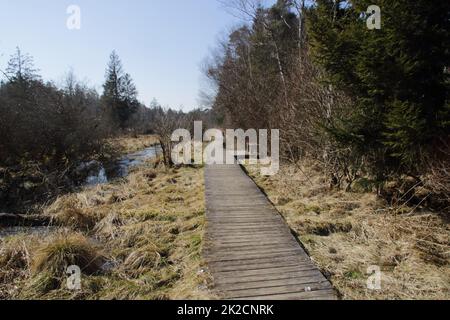 Percorso fatto di tavole di legno nel Wurzacher Ried vicino a Bad Wurzach Foto Stock