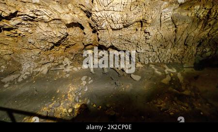 Lo scheletro dell'orso nella caverna dell'ursilor della pestera a Chiscau in romania Foto Stock