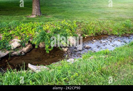 Il dolce torrente si snoda attraverso il verde prato Foto Stock