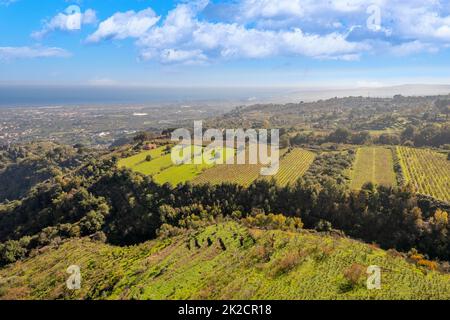 I vigneti alle pendici del vulcano Etna Foto Stock