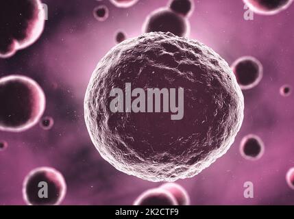 Microbi ingranditi. Immagine di batteri vista al microscopio. Foto Stock