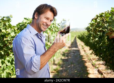 Questa sarà una grande annata. Shot di un bell'uomo maturo che assaggia il vino all'esterno in un vigneto. Foto Stock