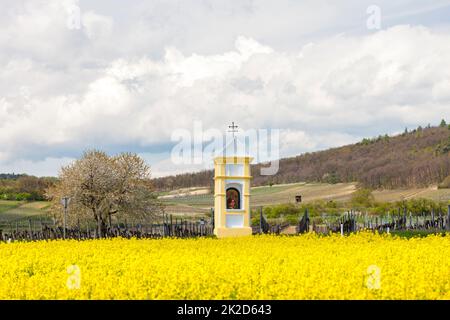 Gli dèi la tortura nei pressi di Retz, Austria Foto Stock