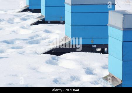 Inverno paese di scena con alveari coperti di neve Foto Stock