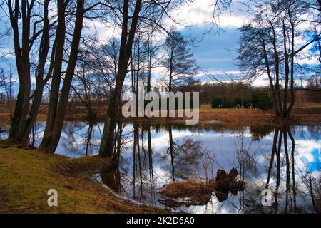 Lago tranquillo con riflessi di alberi circostanti Foto Stock