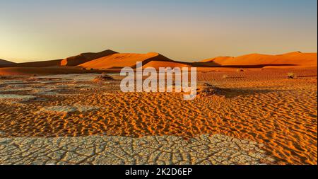 Arido paesaggio asciutto Nascosto Vlei in Namibia Africa Foto Stock