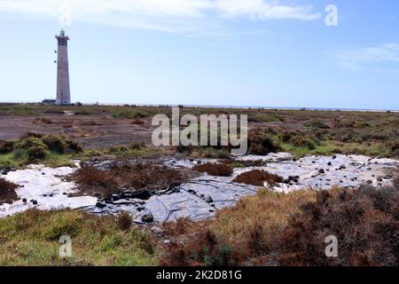 Saladar de JandÃ­a, ein Feuchtgebiet und Naturschutzgebiet an der Playa del Matorral Foto Stock