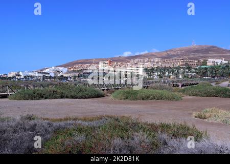 Saladar de JandÃ­a, ein Feuchtgebiet und Naturschutzgebiet an der Playa del Matorral Foto Stock