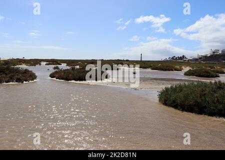 Saladar de JandÃ­a, ein Feuchtgebiet und Naturschutzgebiet an der Playa del Matorral Foto Stock