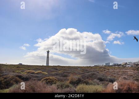Saladar de JandÃ­a, ein Feuchtgebiet und Naturschutzgebiet an der Playa del Matorral Foto Stock