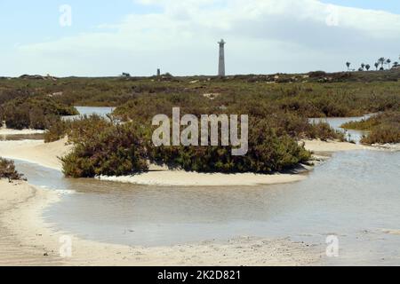 Saladar de JandÃ­a, ein Feuchtgebiet und Naturschutzgebiet an der Playa del Matorral Foto Stock