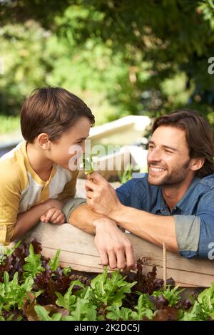 Amano il giardinaggio insieme. Fucilato da un padre e da suo figlio che trascorrono del tempo insieme in giardino. Foto Stock