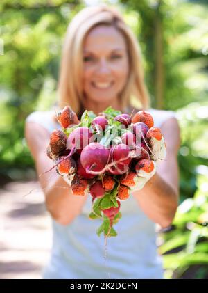 La salute del cuore è nelle sue mani. Una donna che tiene fuori le verdure appena raccolte. Foto Stock