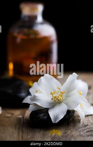 Fiore di Jasmin e olio profumato Foto Stock