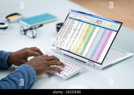 Analista o revisore di fogli elettronici che utilizza il software Foto Stock