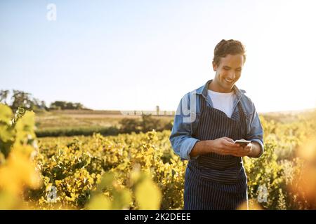 Le previsioni del tempo sembrano buone per questa settimana. Shot di un giovane che tiene una cassa piena di prodotti freschi raccolti in una fattoria. Foto Stock