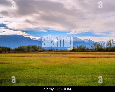 Murnauer Moos bog in Baviera Foto Stock