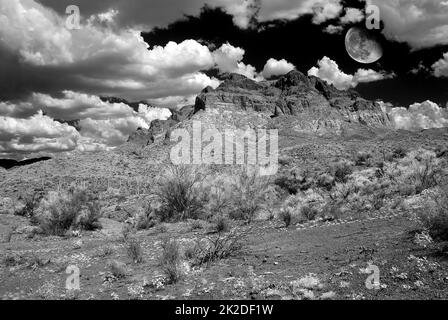 Sonora Desert Moon Foto Stock