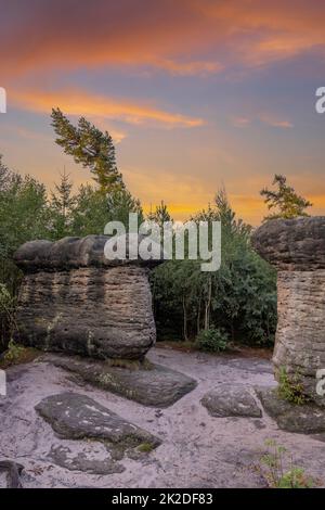 Funghi di pietra in una riserva naturale Broumovske steny, Boemia orientale, Repubblica Ceca Foto Stock
