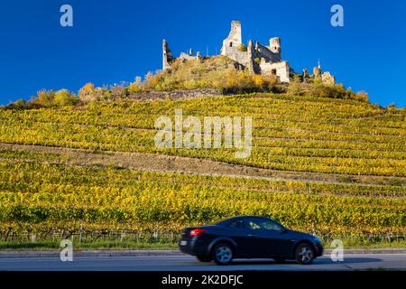 Rovine di Senftenberg, Krems-Land District, bassa Austria, Austria Foto Stock