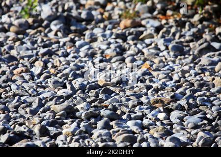 Brughiera stretta con campi di selce Foto Stock