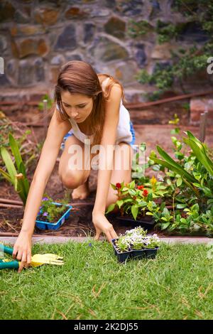 Piantando per Spring. Una bella giovane donna che fa giardinaggio nel suo cortile. Foto Stock