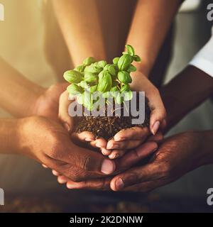 Dobbiamo tutti svolgere la nostra parte nel coltivare la natura. Closeup shot di un gruppo di persone irriconoscibili che tengono una pianta che cresce dal suolo. Foto Stock