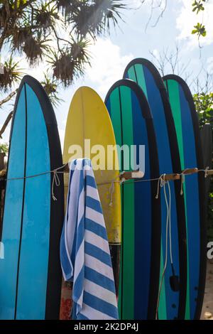 Stack di tavole da surf diverse per un noleggio sulla spiaggia Foto Stock