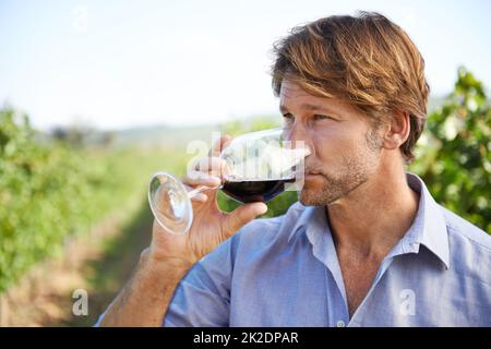 Questa sarà una grande annata. Shot di un bell'uomo maturo che assaggia il vino all'esterno in un vigneto. Foto Stock