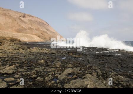 Costa orientale dell'isolotto del Montana Clara. Foto Stock