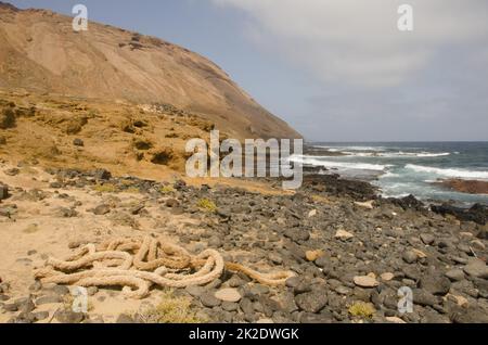 Costa orientale dell'isolotto del Montana Clara. Foto Stock