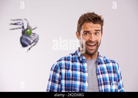 Di fronte alle sue paure. Studio girato di un giovane uomo che si cowering nel terrore a un ragno su uno sfondo grigio. Foto Stock