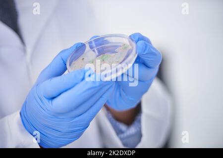 Trovare una cura. Un colpo corto di uno scienziato che indossa guanti mentre tiene una piastra Petri. Foto Stock