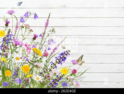 Colorati fiori di prato su sfondo bianco di legno Foto Stock