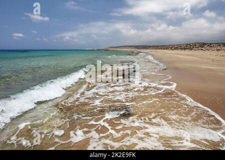 Bellissima spiaggia selvaggia, piccole pietre in sabbia finissima, incontaminata con nessun turista Karpass nella regione settentrionale di Cipro Foto Stock
