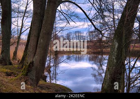 Lago tranquillo con riflessi di alberi circostanti Foto Stock