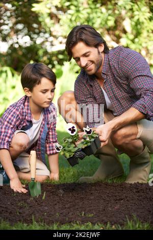 Amano il giardinaggio insieme. Colpo di un padre e di un figlio piantando fiori nel giardino. Foto Stock