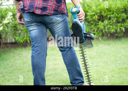 Giardiniere che tiene tagliasiepi elettrico per tagliare la cetop in giardino. Foto Stock