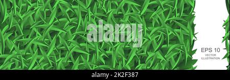 Texture modello di sfondo panoramico verde erboso realistico - Vector Foto Stock