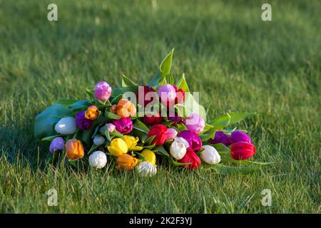 mazzo di tulipani freschi colorati in giardino Foto Stock