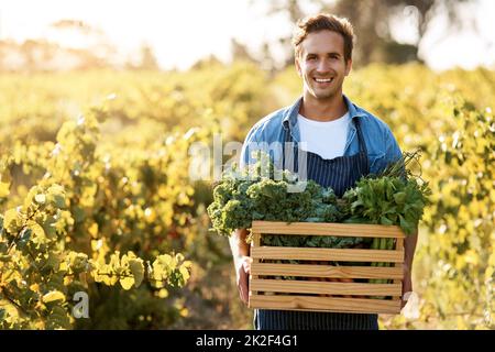 Questi sono pronti per essere goduti. Shot di un giovane che tiene una cassa piena di prodotti freschi raccolti in una fattoria. Foto Stock