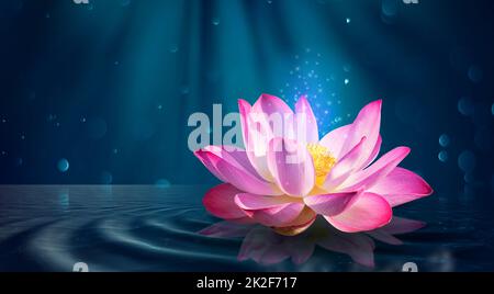 Lotus luce rosa viola galleggianti brillare di luce sullo sfondo viola Foto Stock