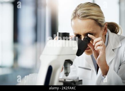 Scendendo al nitty-gritty. Scatto corto di una scienziata matura attraente femmina usando un microscopio mentre fa la ricerca nel suo laboratorio. Foto Stock