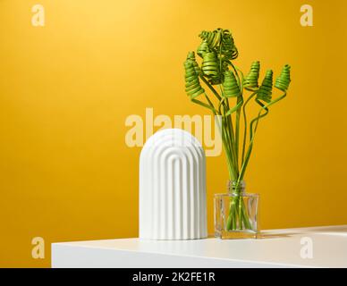 vaso trasparente con piante verdi e arco bianco su sfondo giallo. Fase per la pubblicità e la dimostrazione dei prodotti Foto Stock