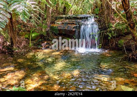 Piccolo lago, cascata e fiume con acqua limpida nella foresta Foto Stock