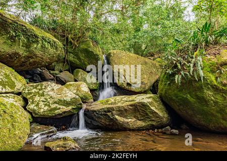 Piccola cascata tra la vegetazione della foresta pluviale dell'isola di Ilhabela Foto Stock