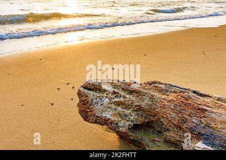 Spiaggia durante il tramonto estivo sull'isola tropicale di Ilhabela Foto Stock
